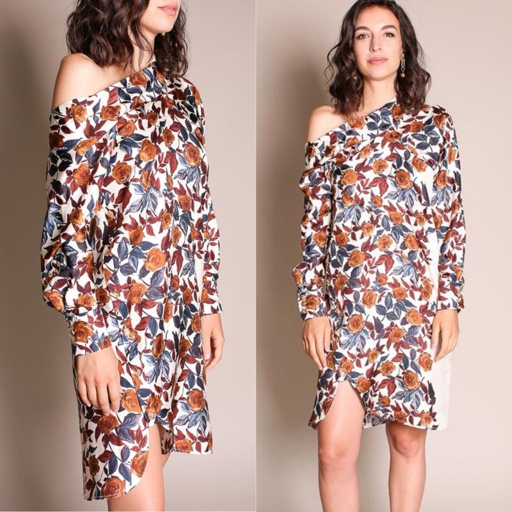 Rachel Comey Silk Pout Tunic Dress Brown Vargas Floral Size 6
